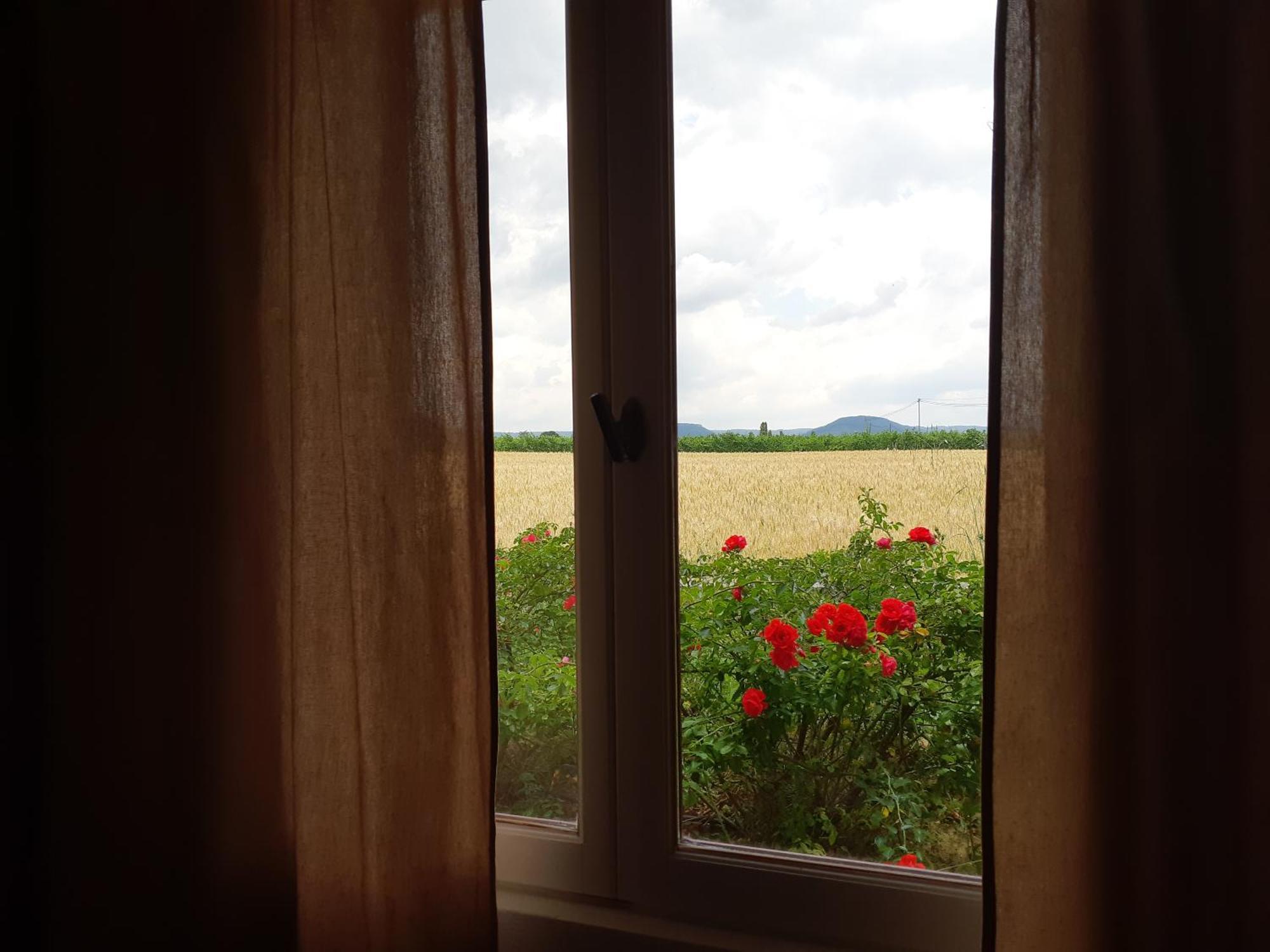 Chambres D'Hotes, B&B La Musardiere Alba-la-Romaine Extérieur photo